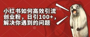 小红书如何高效引流创业粉,日引100+,解决你遇到的问题【揭秘】-水滴知识网