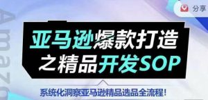 【训练营】亚马逊爆款打造之精品开发SOP，系统化洞察亚马逊精品选品全流程-水滴知识网