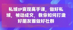 私域IP变现高手课,做好私域,被动成交,教你如何打造好朋友圈做好社群-水滴知识网