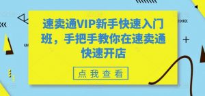 速卖通VIP新手快速入门班，手把手教你在速卖通快速开店-水滴知识网