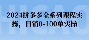 2024拼多多全系列课程实操，日销0-100单实操【必看】-水滴知识网