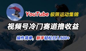视频号冷门赛道撸收益，YouTube搬运极限运动集锦，暴力起号，操作简单流量高，轻松日入5张【揭秘】-水滴知识网