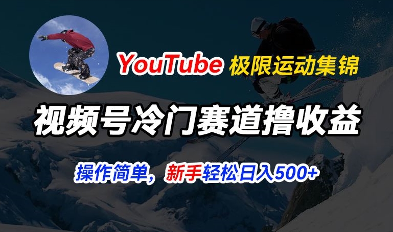 视频号冷门赛道撸收益,YouTube搬运极限运动集锦,暴力起号,操作简单流量高,轻松日入5张【揭秘】-水滴知识网