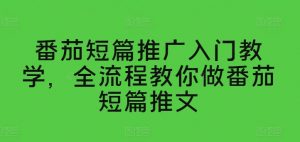 番茄短篇推广入门教学，全流程教你做番茄短篇推文-水滴知识网