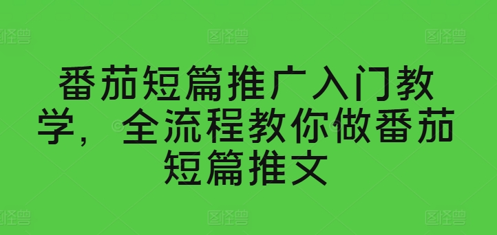 番茄短篇推广入门教学，全流程教你做番茄短篇推文-水滴知识网