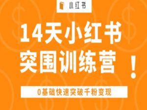14天小红书突围训练营 ，0基础快速突破千粉变现-水滴知识网
