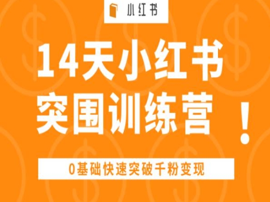 14天小红书突围训练营 ，0基础快速突破千粉变现-水滴知识网