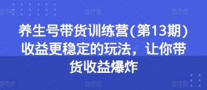 养生号带货训练营(第13期)收益更稳定的玩法,让你带货收益爆炸-水滴知识网