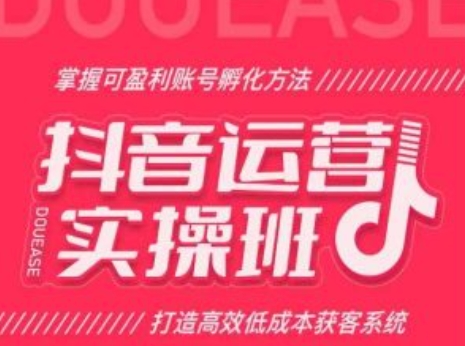 抖音运营实操班,掌握可盈利账号孵化方法,打造高效低成本获客系统-水滴知识网