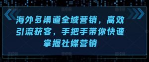 海外多渠道全域营销,高效引流获客,手把手带你快速掌握社媒营销-水滴知识网