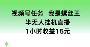 视频号任务,我是螺丝王, 半无人挂机1小时收益15元【揭秘】-水滴知识网