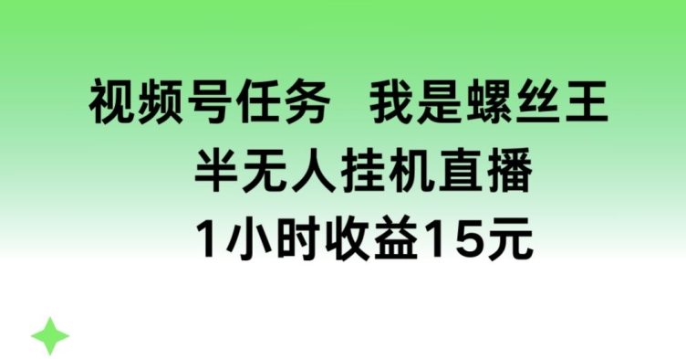 视频号任务，我是螺丝王， 半无人挂机1小时收益15元【揭秘】-水滴知识网