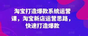 淘宝打造爆款系统运营课,淘宝新店运营思路,快速打造爆款-水滴知识网