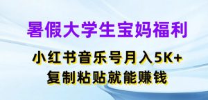 暑假大学生宝妈福利，小红书音乐号月入5000+，复制粘贴就能赚钱【揭秘】-水滴知识网