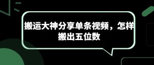 搬运大神分享单条视频,怎样搬出五位数-水滴知识网