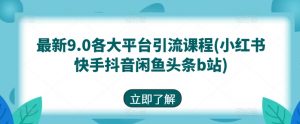最新9.0各大平台引流课程(小红书快手抖音闲鱼头条b站)-水滴知识网