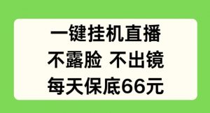 一键挂JI直播，不露脸不出境，每天保底66元【揭秘】-水滴知识网