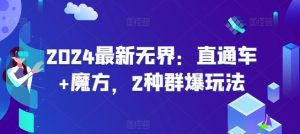 2024最新无界：直通车+魔方，2种群爆玩法-水滴知识网