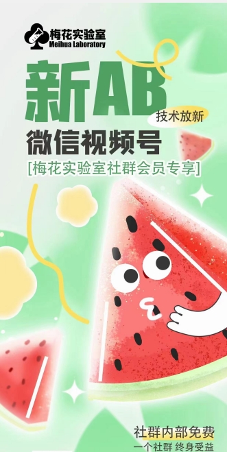梅花实验室2024年AB技术视频号AB合成破解版-水滴知识网