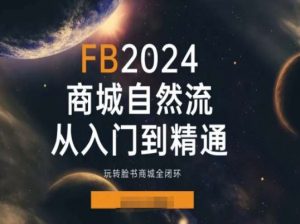 2024Faceboo商城自然流(从入门到精通),玩转脸书商城全闭环-水滴知识网