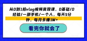从0到1拍vlog视频变现课，0基础/0经验/一部手机/一个人，每天5分钟，每月多赚1W+-水滴知识网