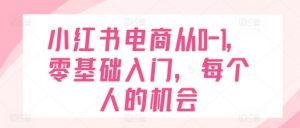 小红书电商从0-1，零基础入门，每个人的机会-水滴知识网