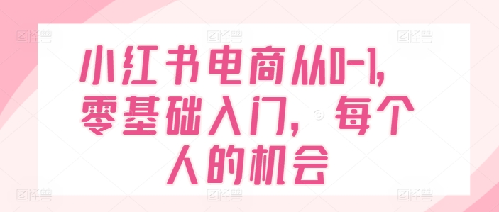 小红书电商从0-1，零基础入门，每个人的机会-水滴知识网