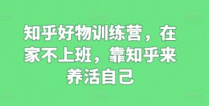 知乎好物训练营,在家不上班,靠知乎来养活自己-水滴知识网