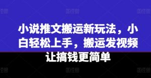 小说推文搬运新玩法，小白轻松上手，搬运发视频让搞钱更简单-水滴知识网