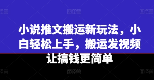 小说推文搬运新玩法，小白轻松上手，搬运发视频让搞钱更简单-水滴知识网