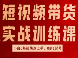 短视频带货实战训练课,好物分享实操,小白0基础快速上手,0到1起号-水滴知识网