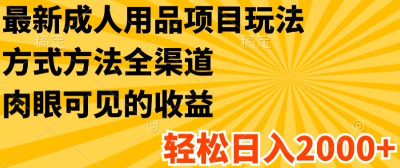 最新成人用品项目玩法,方式方法全渠道,轻松日入2K+【揭秘】-水滴知识网