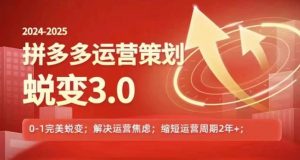 2024-2025拼多多运营策略蜕变3.0，0~1完美蜕变，解决信息焦虑-水滴知识网