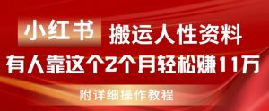 小红书搬运人性资料，有人靠这个2个月轻松赚11w，附教程【揭秘】-水滴知识网