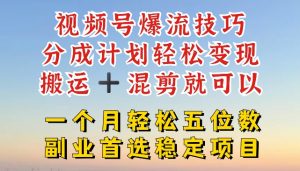 视频号爆流技巧，分成计划轻松变现，搬运 +混剪就可以，一个月轻松五位数稳定项目【揭秘】-水滴知识网