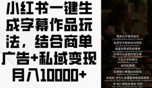 小红书一键生成字幕作品玩法,结合商单广告+私域变现月入1w+【揭秘】-水滴知识网