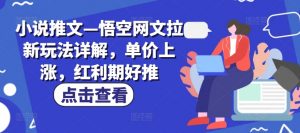 小说推文—悟空网文拉新玩法详解,单价上涨,红利期好推-水滴知识网