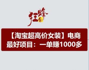 淘宝超高价女装项目,电商最好赛道,一单赚1000多-水滴知识网