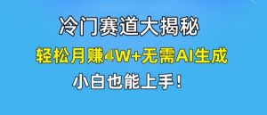 冷门赛道大揭秘,轻松月赚1W+无需AI生成,小白也能上手【揭秘】-水滴知识网