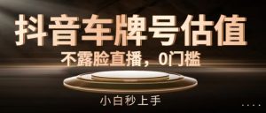 抖音车牌号估值,不露脸直播,0门槛,小白秒上手【揭秘】-水滴知识网