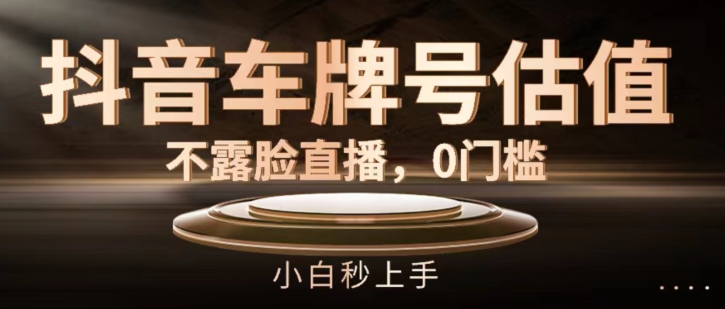 抖音车牌号估值,不露脸直播,0门槛,小白秒上手【揭秘】-水滴知识网