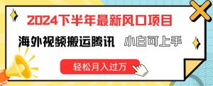 2024下半年最新风口项自,海外视频搬运腾讯,小白可上手,轻松月入过万【揭秘】-水滴知识网