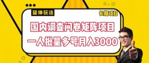 国内调查问卷矩阵项目,一人批量多号月入3000【揭秘】-水滴知识网