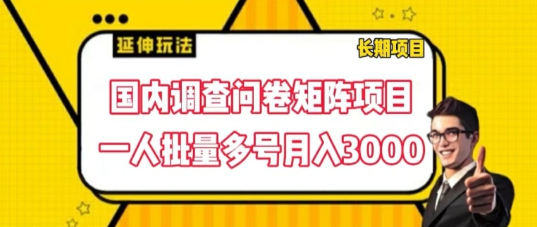 国内调查问卷矩阵项目,一人批量多号月入3000【揭秘】-水滴知识网