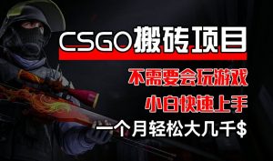 CSGO 装备搬砖项目，操作简单，不需要会玩游戏，小白也能快速上手，一个月轻松大几千【揭秘】-水滴知识网