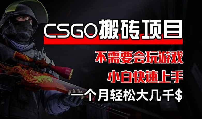 CSGO 装备搬砖项目，操作简单，不需要会玩游戏，小白也能快速上手，一个月轻松大几千【揭秘】-水滴知识网