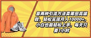 靠两种引流方法卖莆田高端鞋,轻松实现月入1W+,小白也能轻松上手,每天只要1小时【揭秘】-水滴知识网