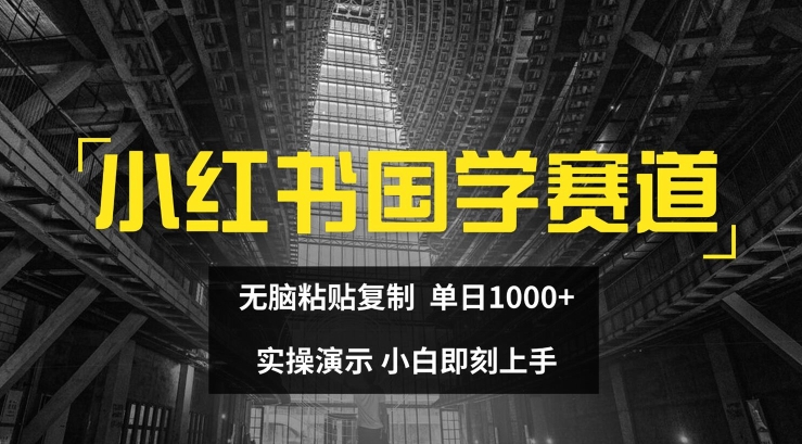 小红书国学赛道，无脑粘贴复制，单日1K，实操演示，小白即刻上手【揭秘】-水滴知识网