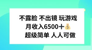 不露脸 不出境 玩游戏，月入6500 超级简单 人人可做【揭秘】-水滴知识网
