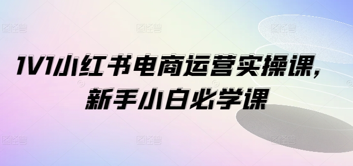 1V1小红书电商运营实操课,新手小白必学课-水滴知识网